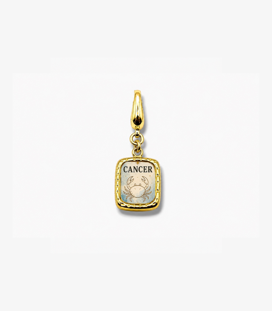 Zodiac Charm